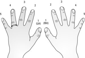 latihan fingering piano
